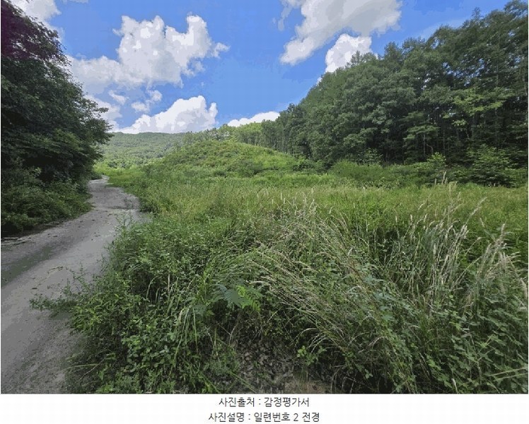 2025타경51638 충청북도 보은군 보은읍 종곡리 111 농지 경매 이미지