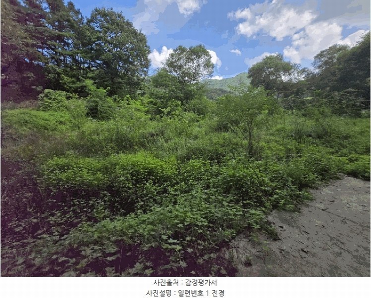2025타경51638 충청북도 보은군 보은읍 종곡리 111 농지 경매 이미지