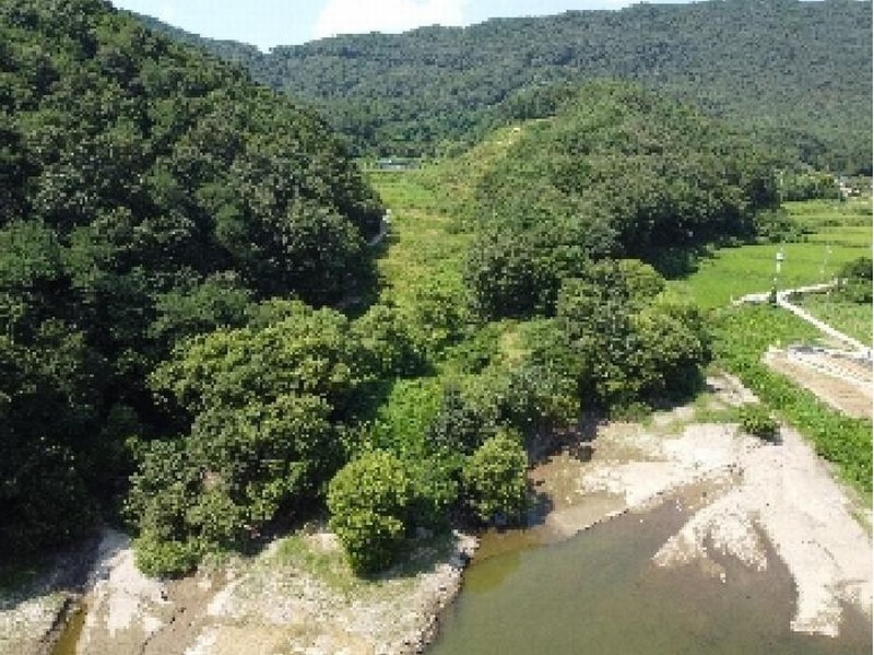 2025타경51638 충청북도 보은군 보은읍 종곡리 111 농지 경매 이미지