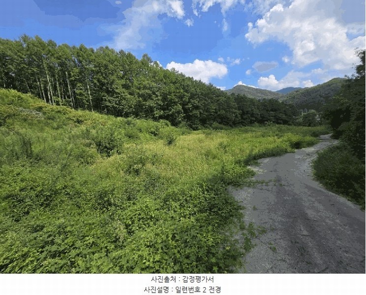 2025타경51638 충청북도 보은군 보은읍 종곡리 111 농지 경매 이미지