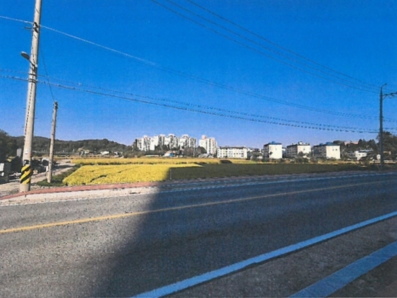 2025타경51868 충청북도 보은군 보은읍 교사리 365 농지 경매 이미지