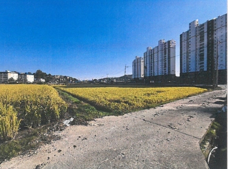 2025타경51868 충청북도 보은군 보은읍 교사리 365 농지 경매 이미지