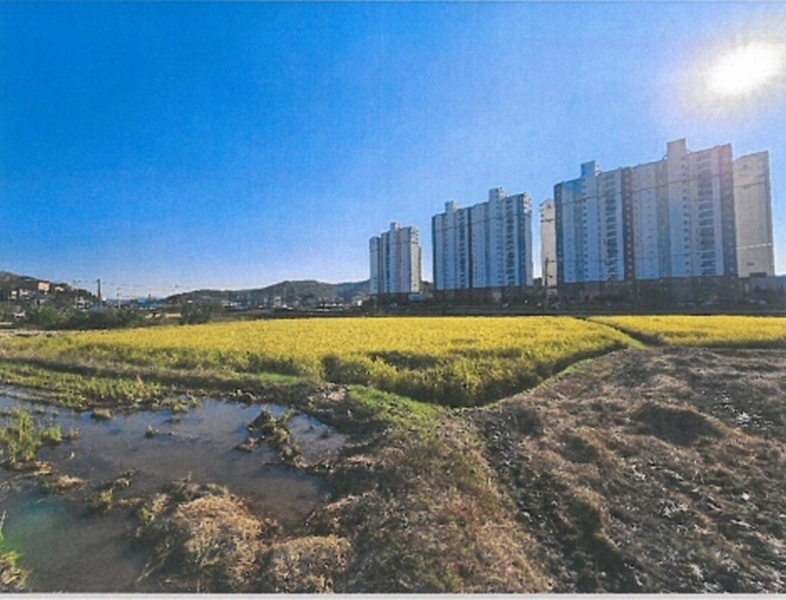 2025타경51868 충청북도 보은군 보은읍 교사리 365 농지 경매 이미지
