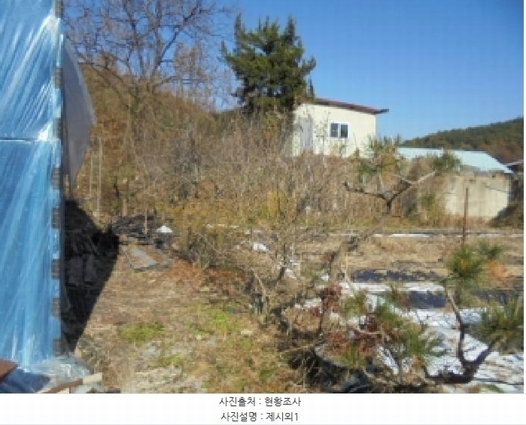 2025타경52003 충청북도 청주시 상당구 남일면 신송리 562 농지 경매 이미지