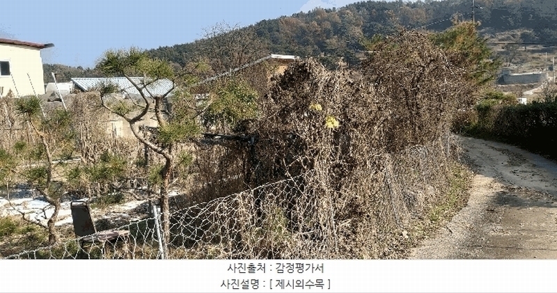 2025타경52003 충청북도 청주시 상당구 남일면 신송리 562 농지 경매 이미지
