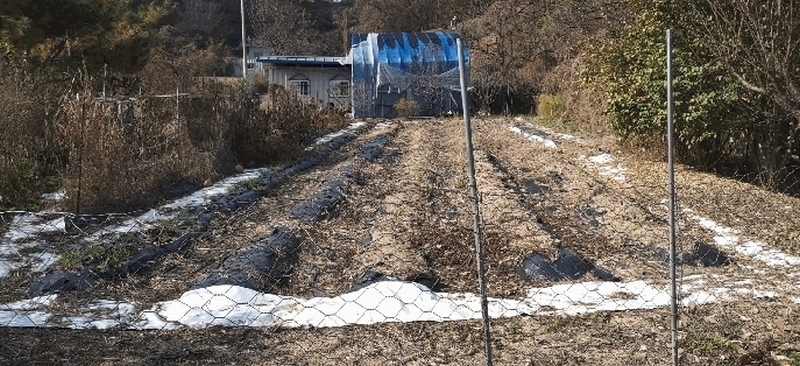 2025타경52003 충청북도 청주시 상당구 남일면 신송리 562 농지 경매 이미지