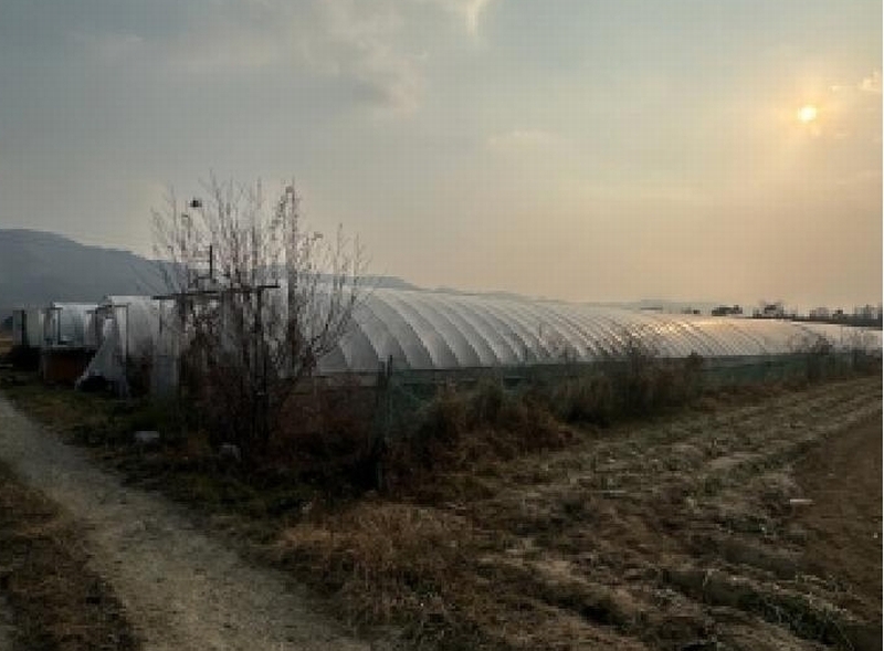 2025타경52015 충청북도 청주시 청원구 내수읍 우산리 632 농지 경매 이미지