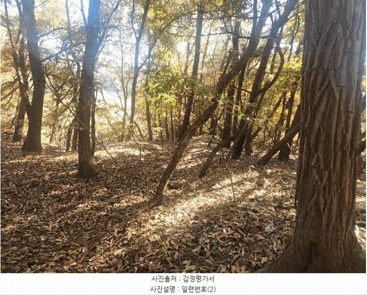 2025타경3824 세종특별자치시 연서면 쌍전리 산18-6 임야 경매 이미지