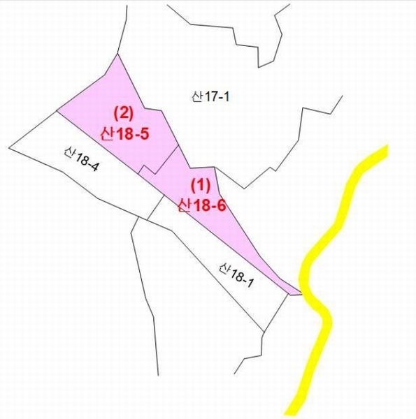 2025타경3824 세종특별자치시 연서면 쌍전리 산18-6 임야 경매 이미지