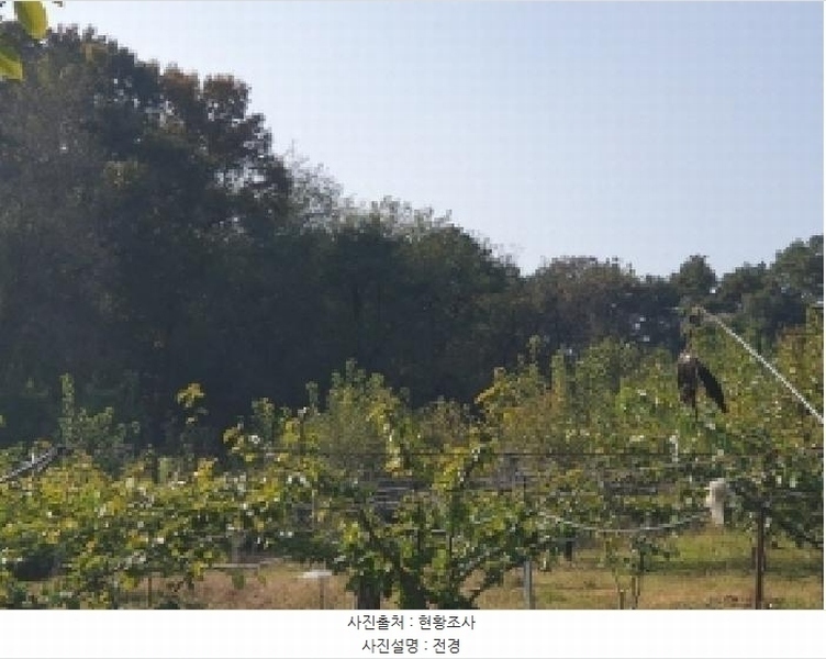2025타경3824 세종특별자치시 연서면 쌍전리 산18-6 임야 경매 이미지