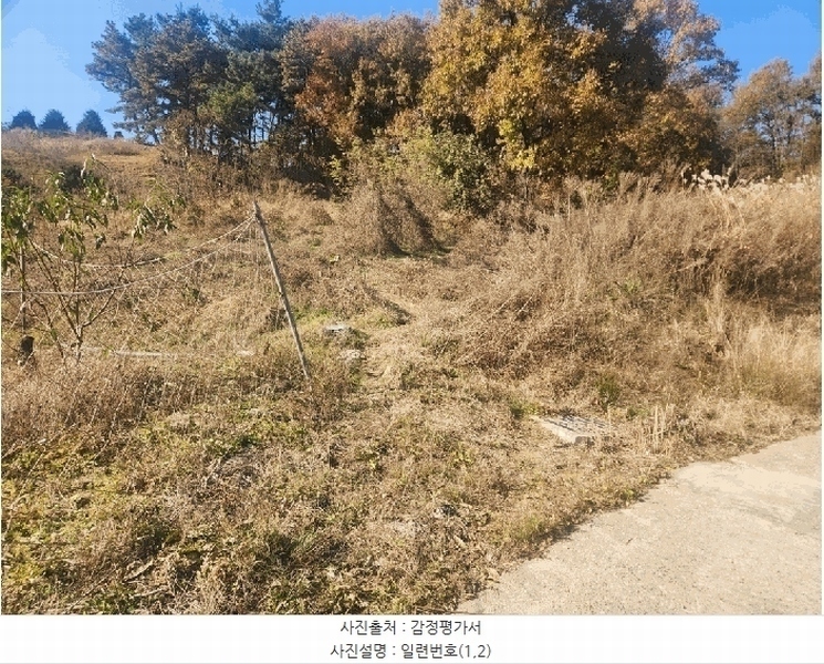 2025타경3824 세종특별자치시 연서면 쌍전리 산18-6 임야 경매 이미지