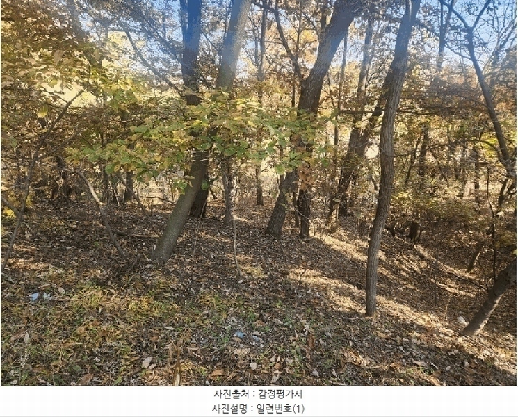 2025타경3824 세종특별자치시 연서면 쌍전리 산18-6 임야 경매 이미지