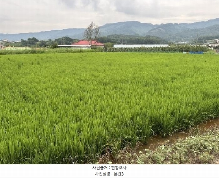 2025타경3879 충청북도 청주시 청원구 내수읍 세교리 367 농지 경매 이미지