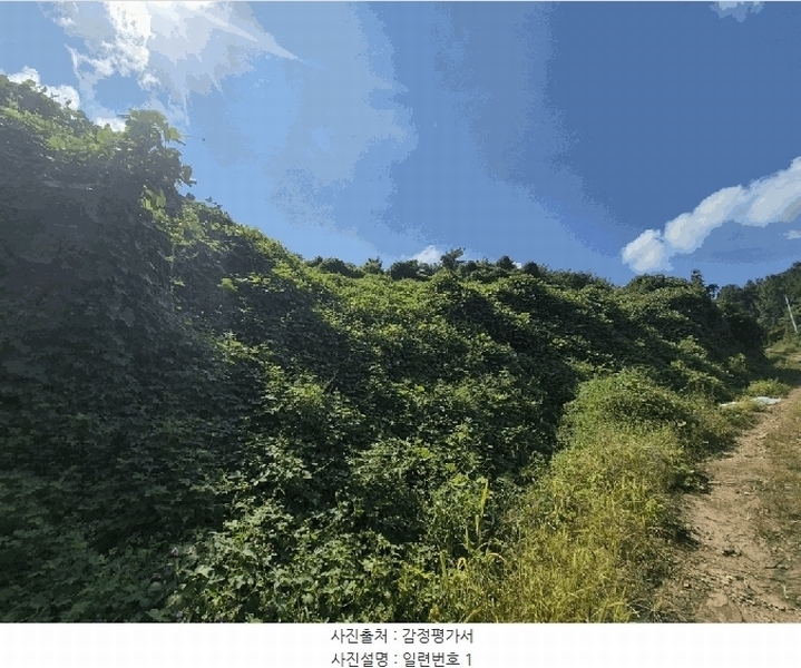 2025타경4520 충청북도 진천군 진천읍 사석리 511-4 임야 경매 이미지