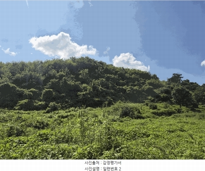 2025타경4520 충청북도 진천군 진천읍 사석리 511-4 임야 경매 이미지