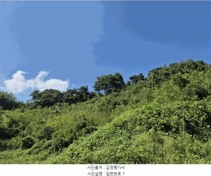2025타경4520 충청북도 진천군 진천읍 사석리 511-4 임야 경매 이미지