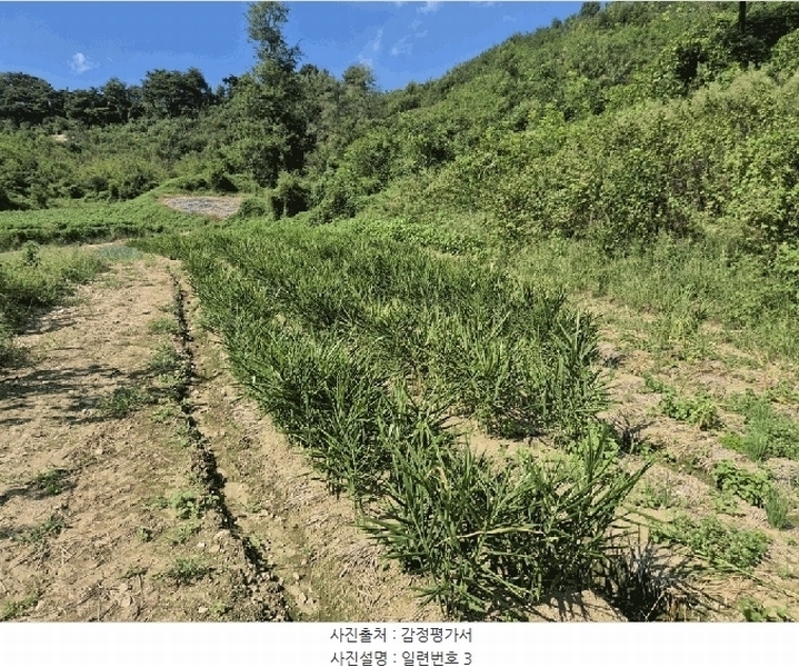2025타경4520 충청북도 진천군 진천읍 사석리 511-4 임야 경매 이미지