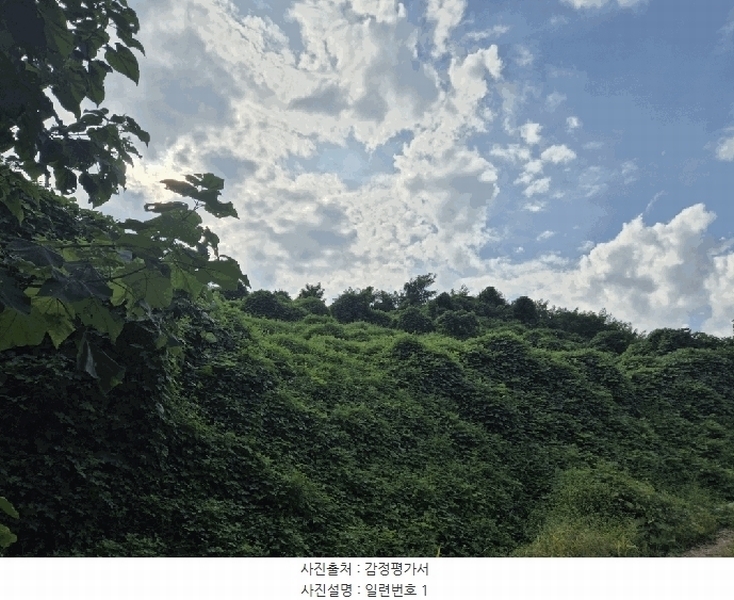 2025타경4520 충청북도 진천군 진천읍 사석리 511-4 임야 경매 이미지