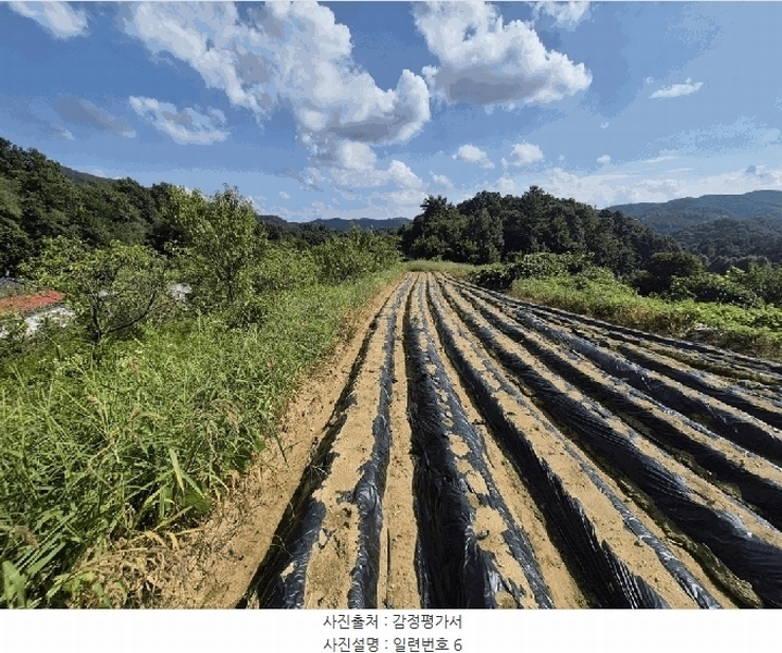 2025타경4520 충청북도 진천군 진천읍 사석리 511-4 임야 경매 이미지