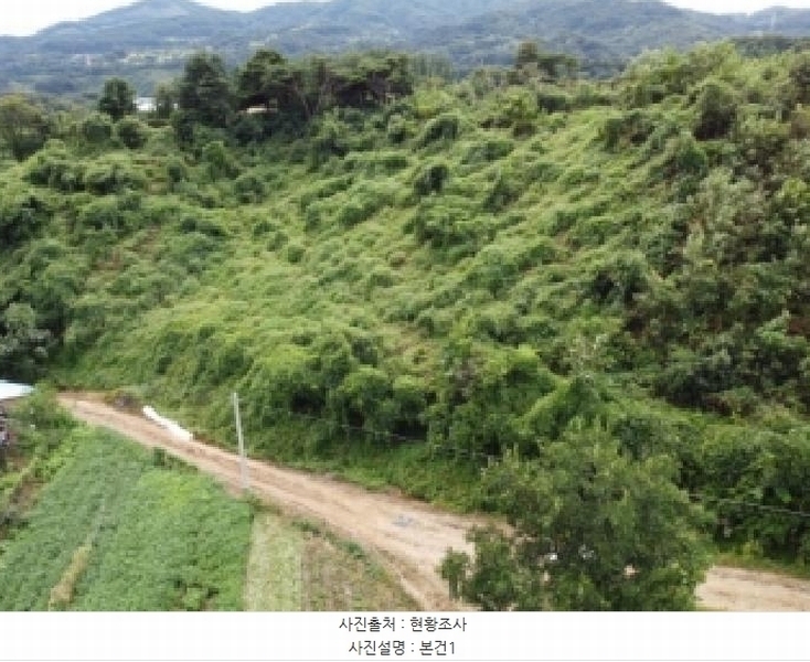 2025타경4520 충청북도 진천군 진천읍 사석리 511-4 임야 경매 이미지