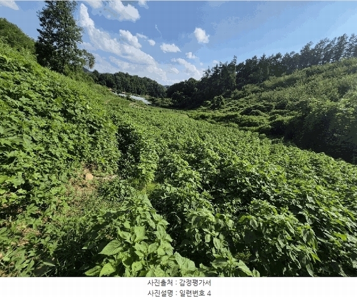 2025타경4520 충청북도 진천군 진천읍 사석리 511-4 임야 경매 이미지