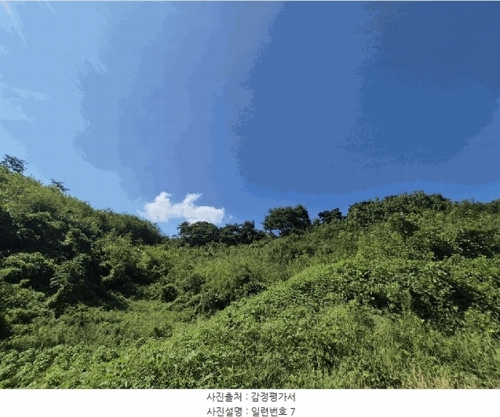 2025타경4520 충청북도 진천군 진천읍 사석리 511-4 임야 경매 이미지