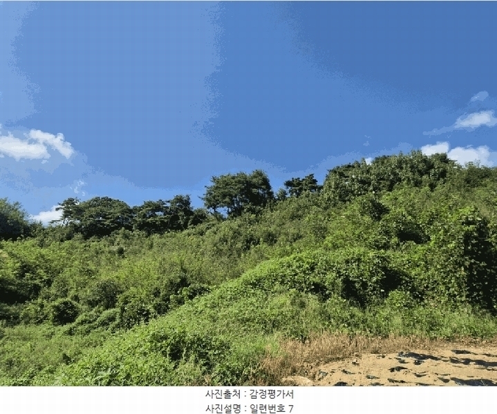 2025타경4520 충청북도 진천군 진천읍 사석리 511-4 임야 경매 이미지