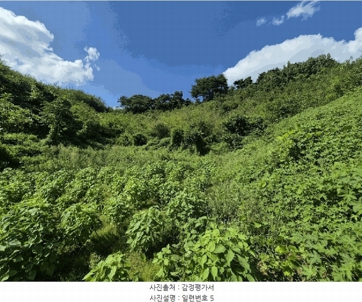 2025타경4520 충청북도 진천군 진천읍 사석리 511-4 임야 경매 이미지