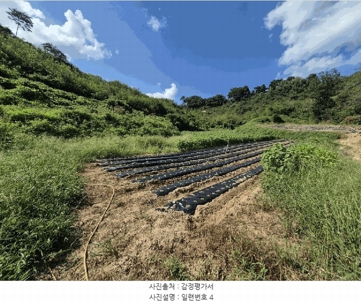 2025타경4520 충청북도 진천군 진천읍 사석리 511-4 임야 경매 이미지