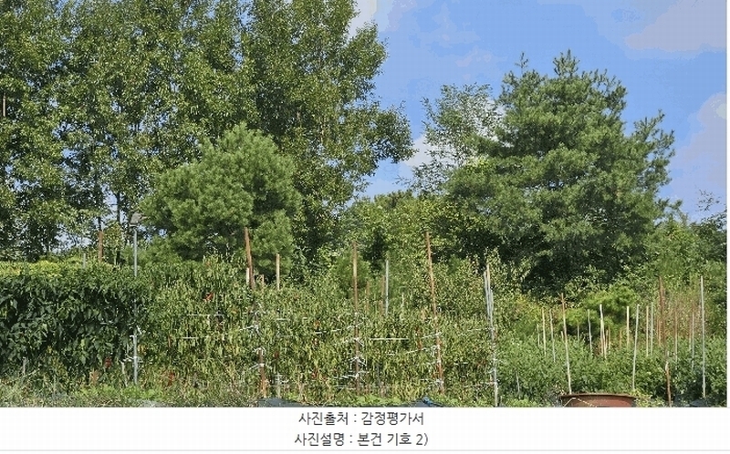 2025타경4728 충청북도 청주시 상당구 가덕면 상대리 산10-17 임야 경매 이미지