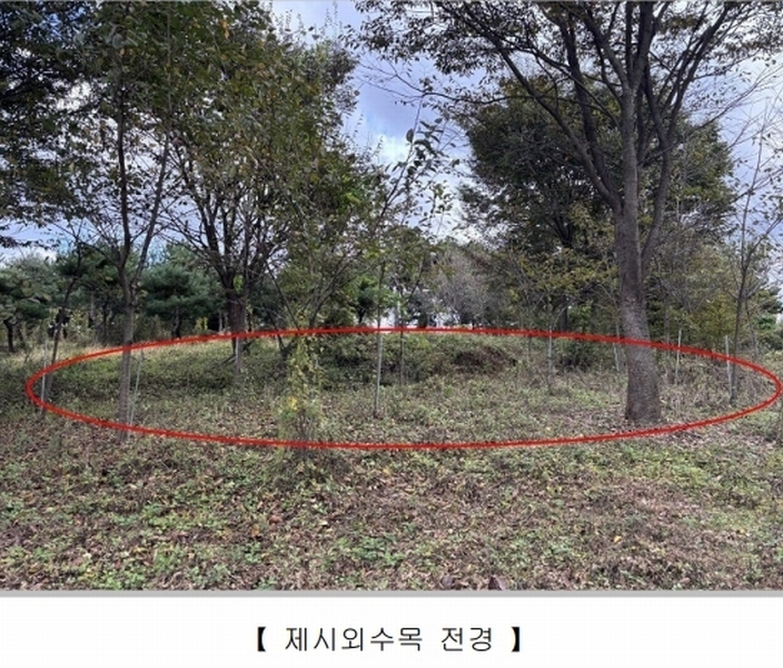 2025타경5110 충청북도 청주시 청원구 내수읍 내수리 177-1 농지 경매 이미지