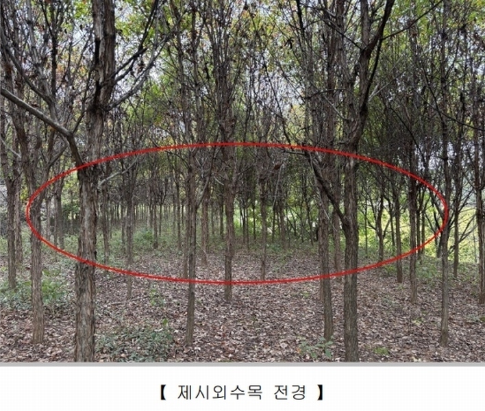 2025타경5110 충청북도 청주시 청원구 내수읍 내수리 177-1 농지 경매 이미지