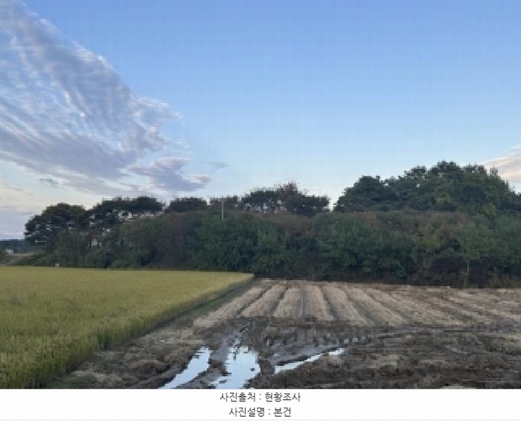2025타경5110 충청북도 청주시 청원구 내수읍 내수리 177-1 농지 경매 이미지