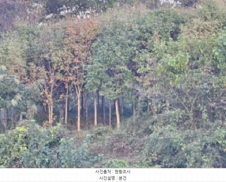 2025타경5110 충청북도 청주시 청원구 내수읍 내수리 177-1 농지 경매 이미지