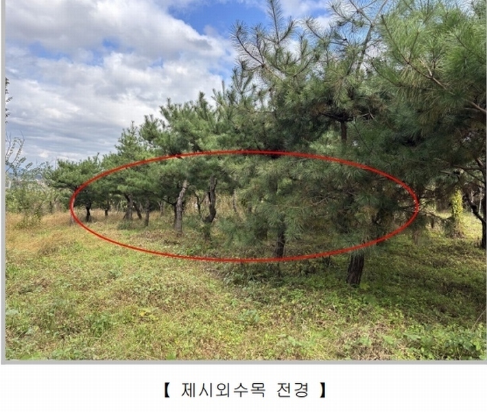 2025타경5110 충청북도 청주시 청원구 내수읍 내수리 177-1 농지 경매 이미지