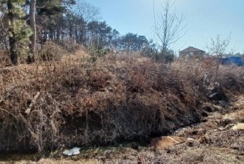 2025타경51128 충청남도 당진시 석문면 장고항리 452-52 임야 경매 이미지