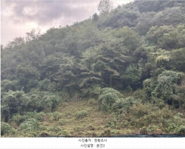 2025타경51740 충청북도 괴산군 연풍면 유상리 125-1 임야 경매 이미지