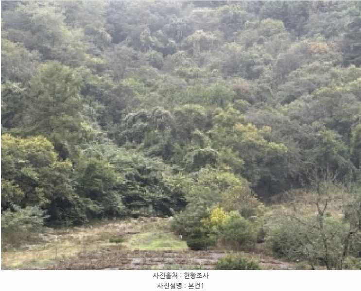 2025타경51740 충청북도 괴산군 연풍면 유상리 125-1 임야 경매 이미지
