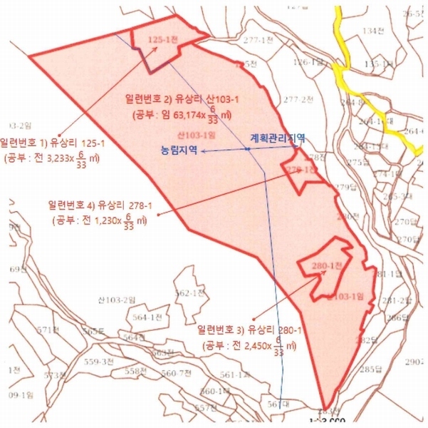 2025타경51740 충청북도 괴산군 연풍면 유상리 125-1 임야 경매 이미지