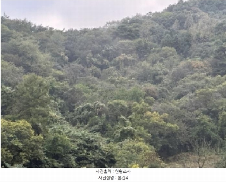 2025타경51740 충청북도 괴산군 연풍면 유상리 125-1 임야 경매 이미지