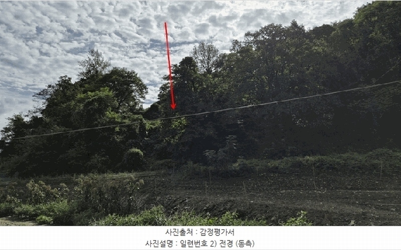 2025타경51740 충청북도 괴산군 연풍면 유상리 125-1 임야 경매 이미지