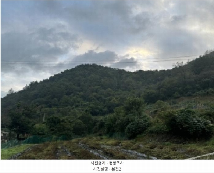 2025타경51740 충청북도 괴산군 연풍면 유상리 125-1 임야 경매 이미지