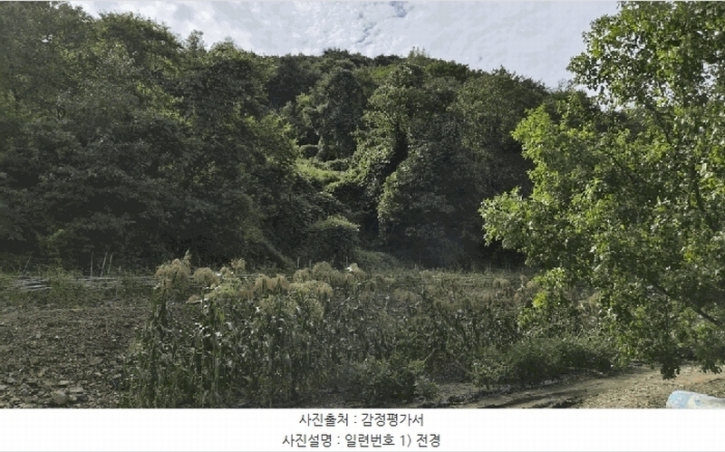 2025타경51740 충청북도 괴산군 연풍면 유상리 125-1 임야 경매 이미지