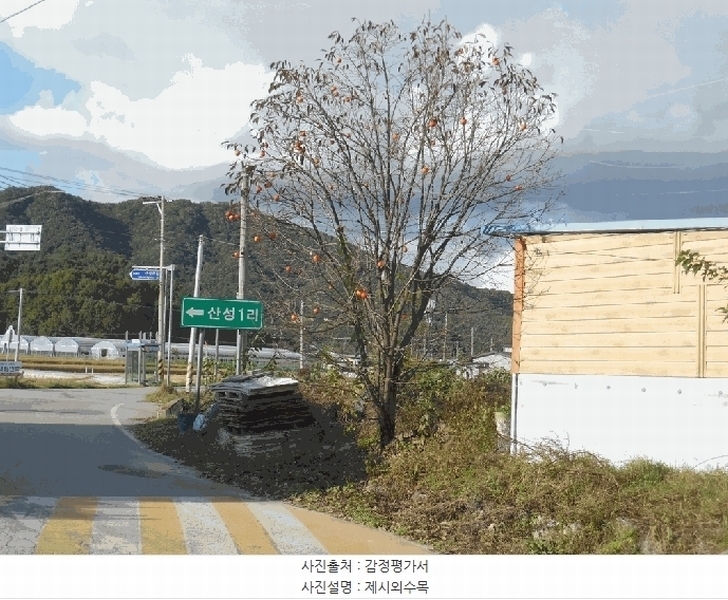 2025타경51866 충청북도 보은군 보은읍 산성리 297-4 근린주택 경매 이미지