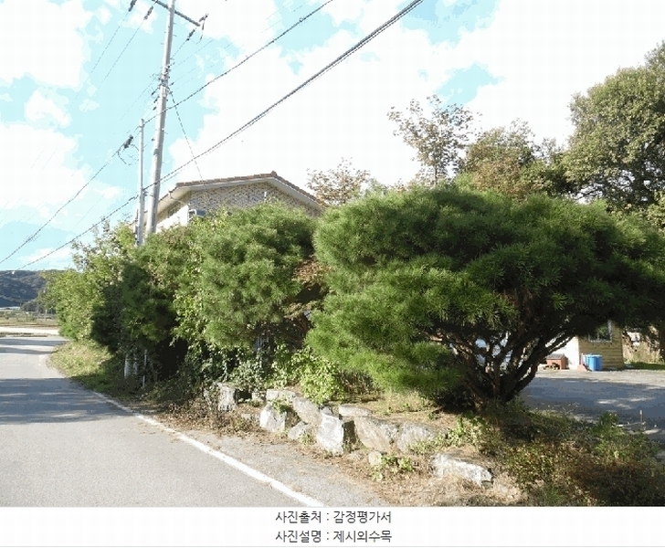 2025타경51866 충청북도 보은군 보은읍 산성리 297-4 근린주택 경매 이미지