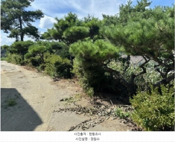 2025타경4087 충청북도 괴산군 괴산읍 검승리 282-5 주택 경매 이미지