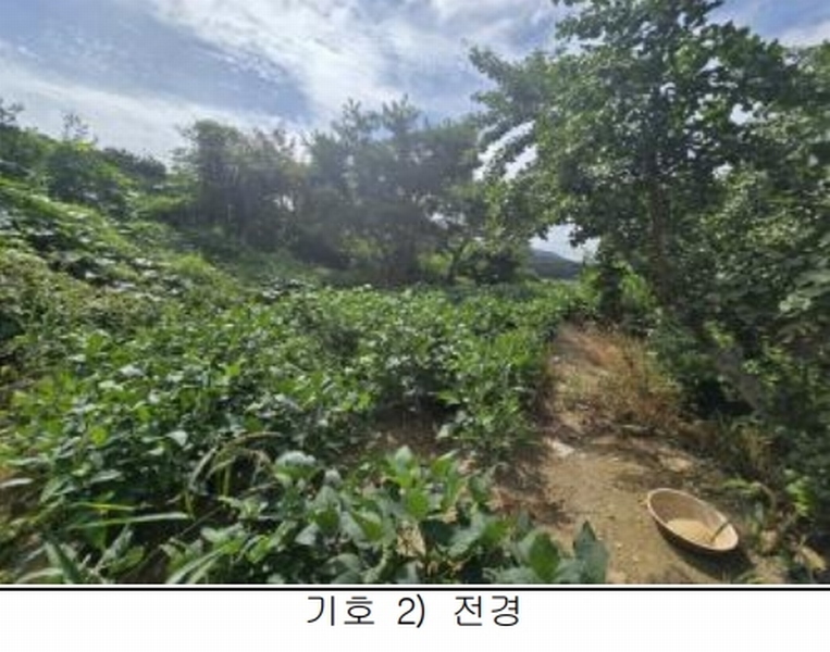 2025타경4087 충청북도 괴산군 괴산읍 검승리 282-5 주택 경매 이미지