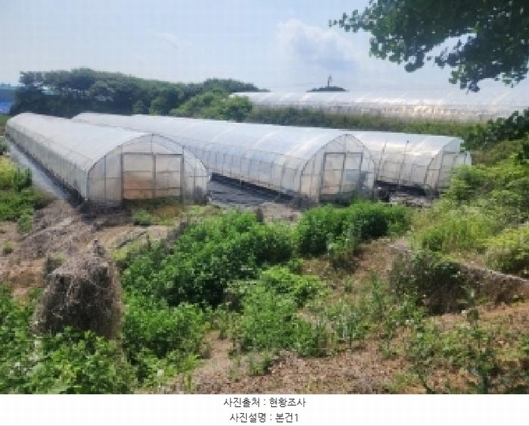 2025타경51374 충청북도 청주시 흥덕구 강내면 학천리 305-1 농지 경매 이미지
