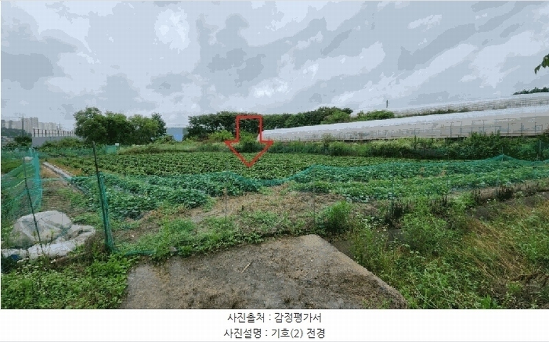 2025타경51374 충청북도 청주시 흥덕구 강내면 학천리 305-1 농지 경매 이미지