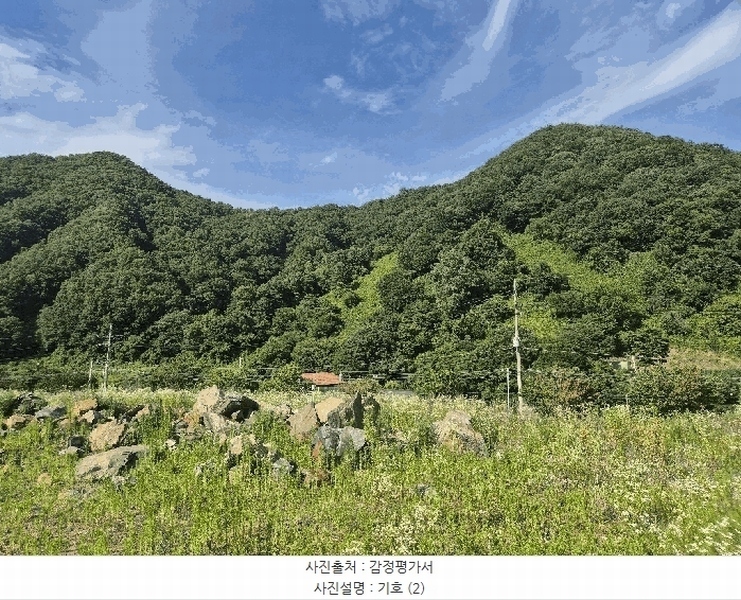 2025타경51420 충청북도 괴산군 청천면 금평리 20-1 임야 경매 이미지